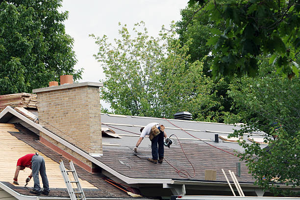Best Roof Repair Services  in Pleasant Ridge, MI