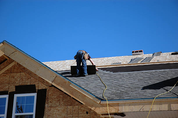 Best Roof Maintenance Services  in Pleasant Ridge, MI