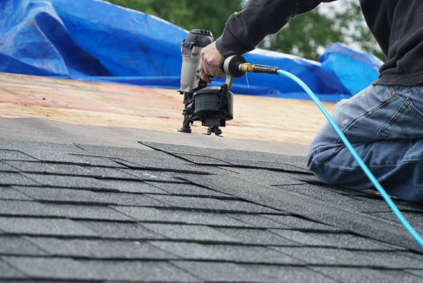 Best Metal Roofing Contractor  in Pleasant Ridge, MI
