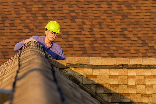 Best Gutter Installation and Roofing  in Pleasant Ridge, MI