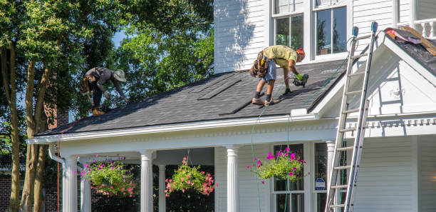 Best Metal Roofing Contractor  in Pleasant Ridge, MI